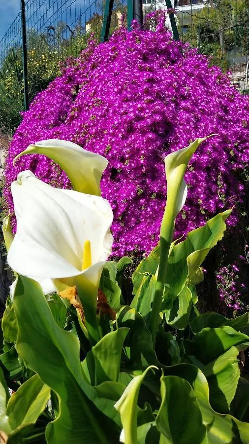 Casa de Férias Il Giardino Di Gio' Vila Imperia